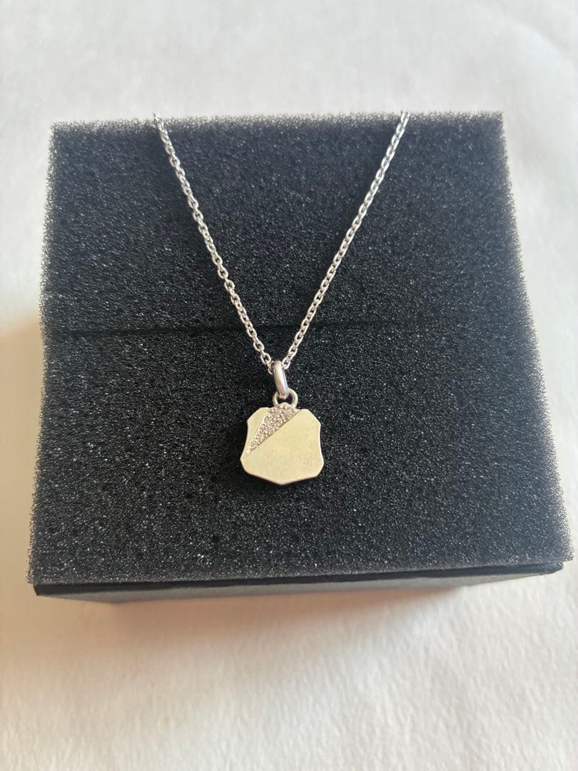 よ*や様 美品　AVIREX 50th限定 アクセサリー ネックレス