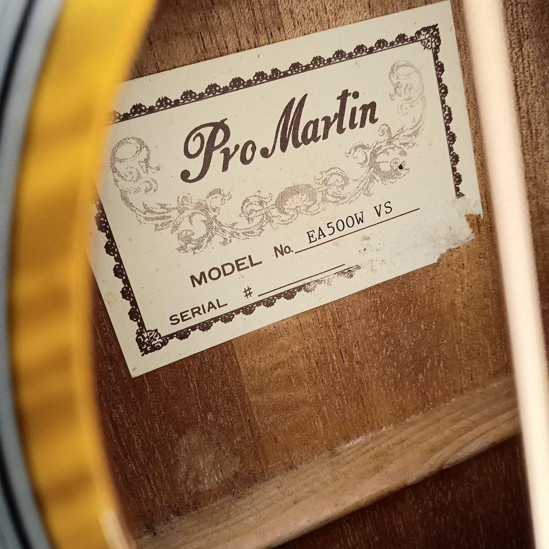 新品弦 メンテ済み PROMARTIN プロマーティン エレアコ ギター アコギ