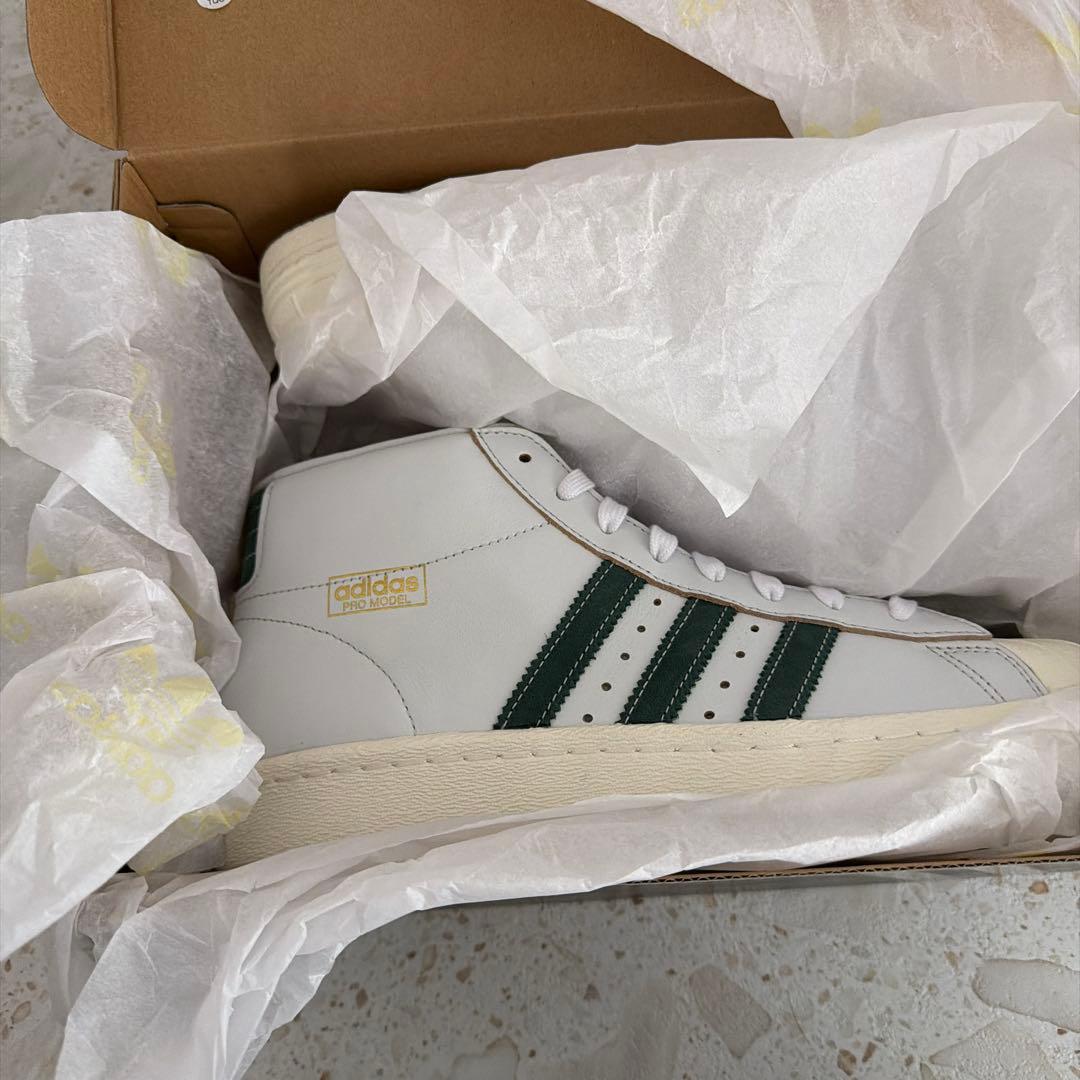 n*1様 プロモデル 80 ADV / PRO MODEL 80 ADV