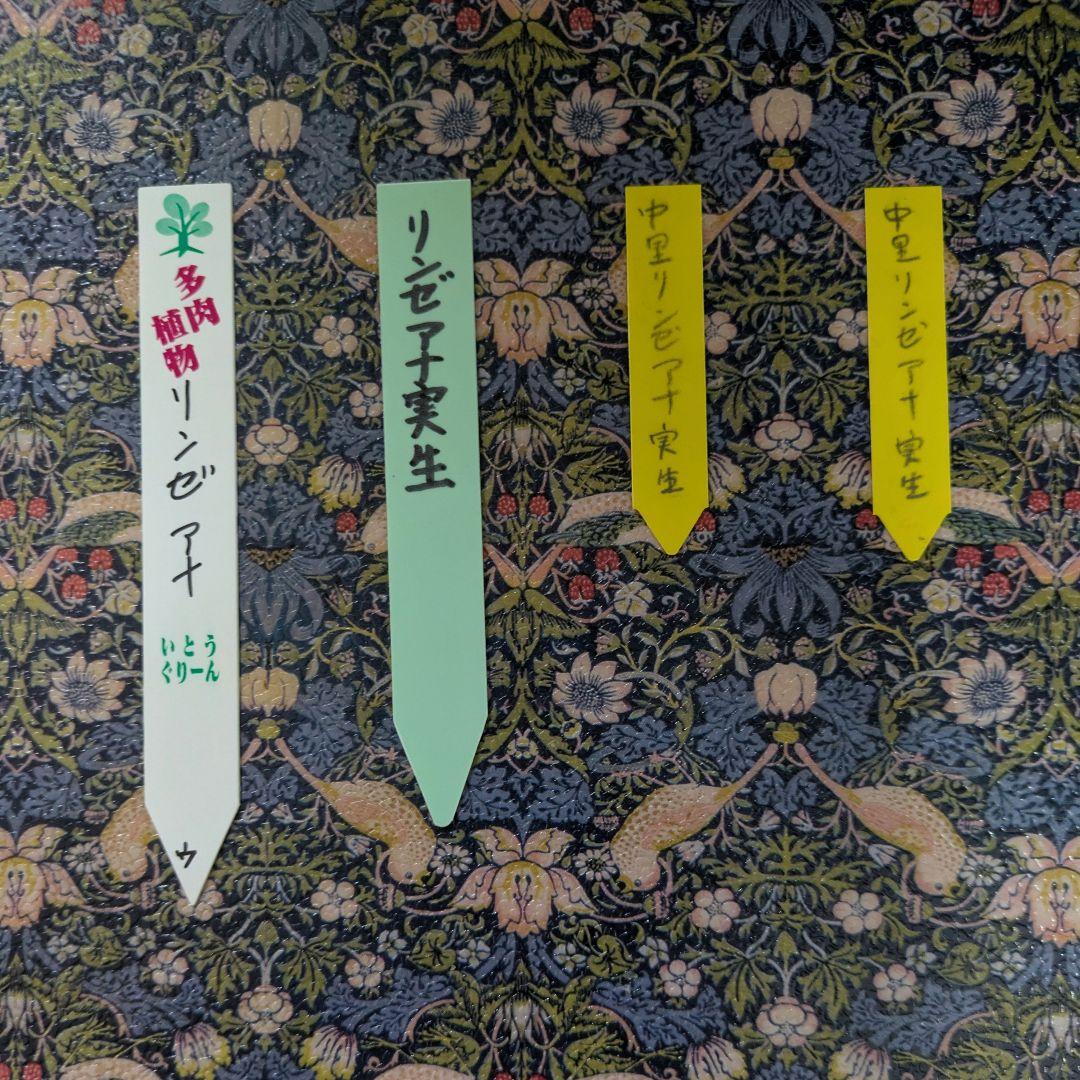 墓標（バラ売り不可）ラベル4枚セット　中里リンゼアナ　いとうぐりーんリンゼアナ