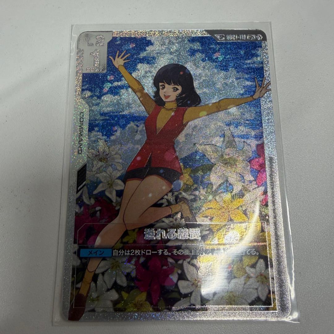 溢れる慈愛　SP パラレル