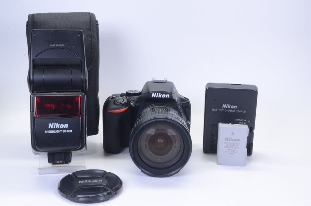 【ショット数極少 838枚！】 D5600 レンズセット／動作良好