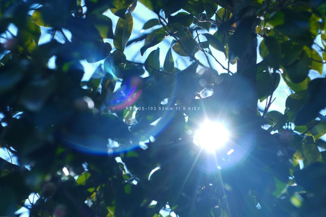 HELIOS-103 53mm F1.8 キエフ M42マウント改造レンズ