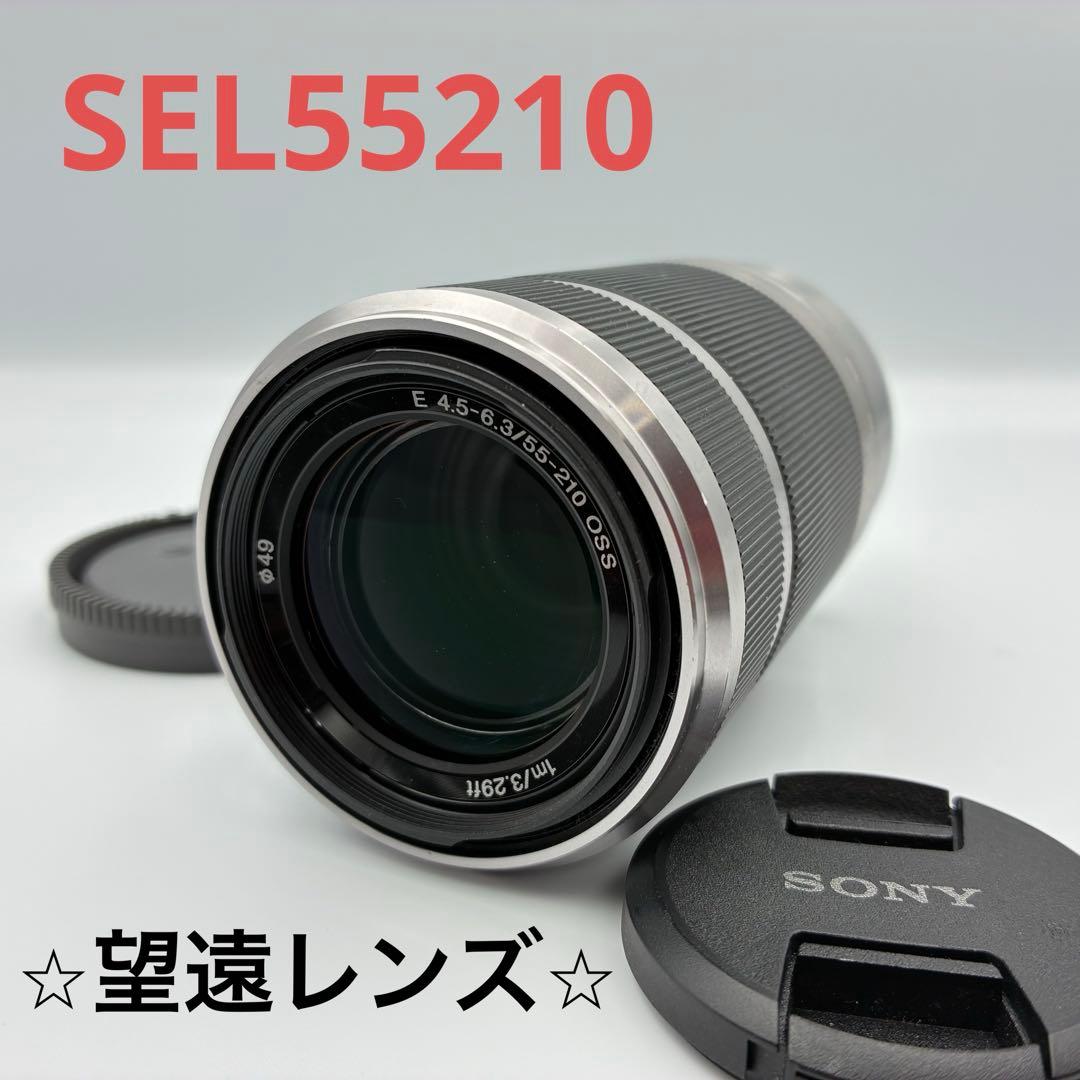 SONY SEL55210 55-210 OSS ソニー望遠ズームレンズ 運動会