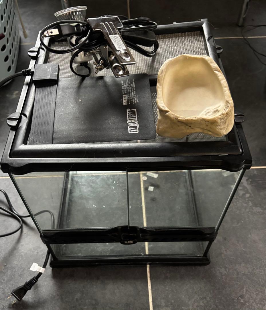 グラステラリウム3030 飼育セット