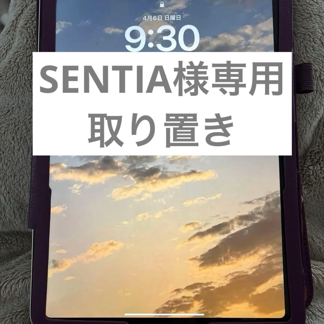 [お値下げ中‼️]iPad Air 第5世代　256Gカバー付き