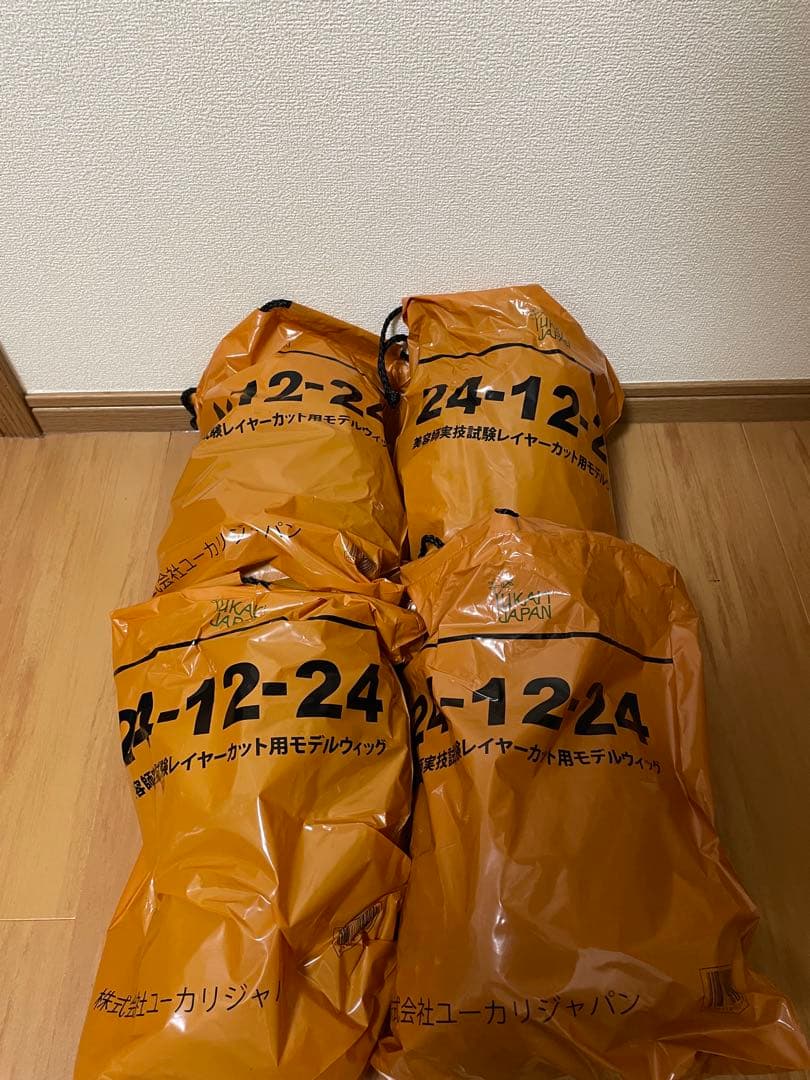 美容師実技試験レイヤーカット用モデルウィッグ　24-12-24 4個セット