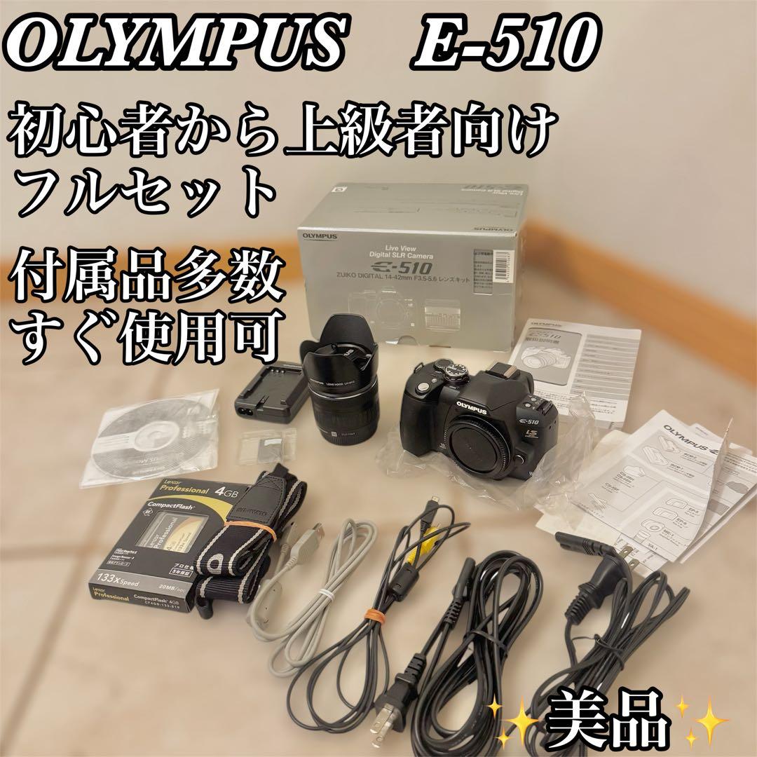 【✨極美品✨】OLYMPUS E-510 一眼レフ