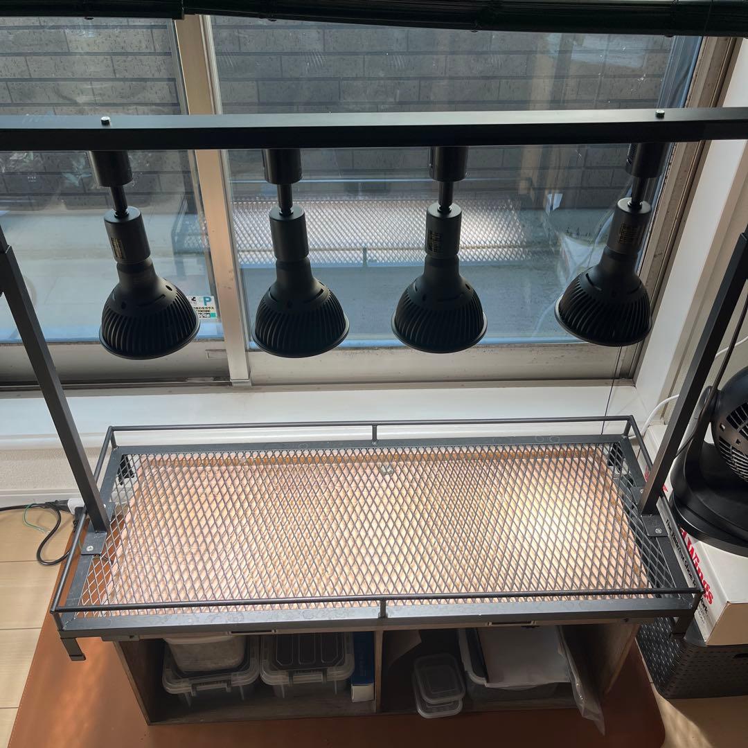 お得です★植物棚とライト4個セット