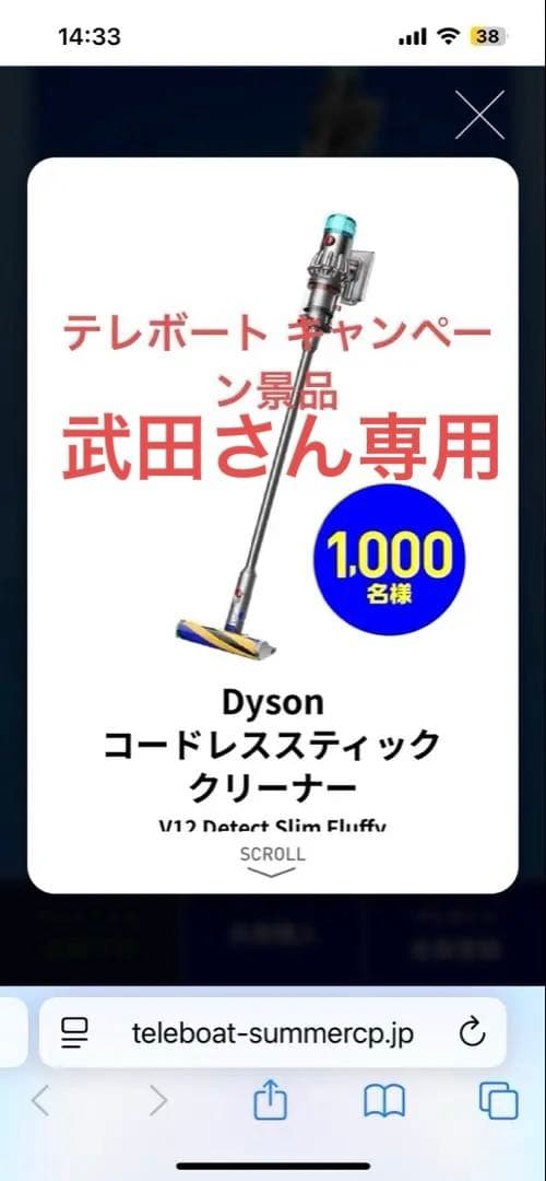 新品未開封Dyson V12 Detect Slim Fluffy 本体