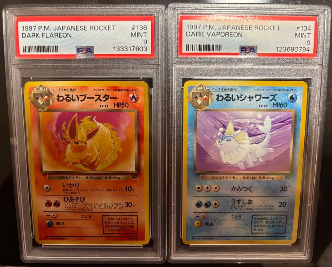 わるいシャワーズ　わるいブースター