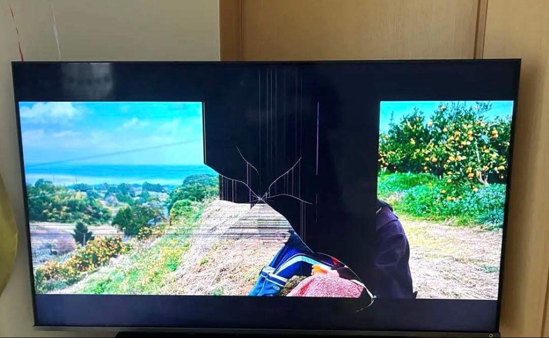 最終お値下げ！　TOSHIBA REGZA 55インチ　55Z670K 22年製