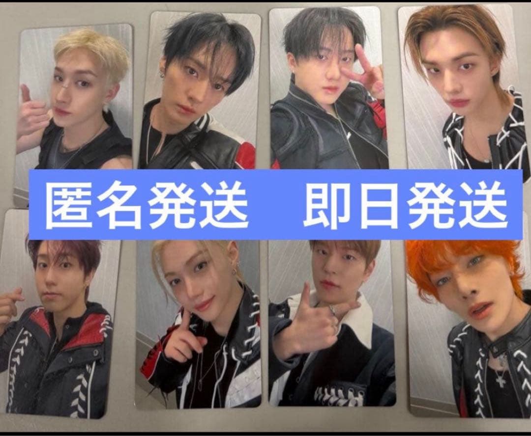 Hollow StrayKids オフイベ関東 会場限定 8枚　コンプ