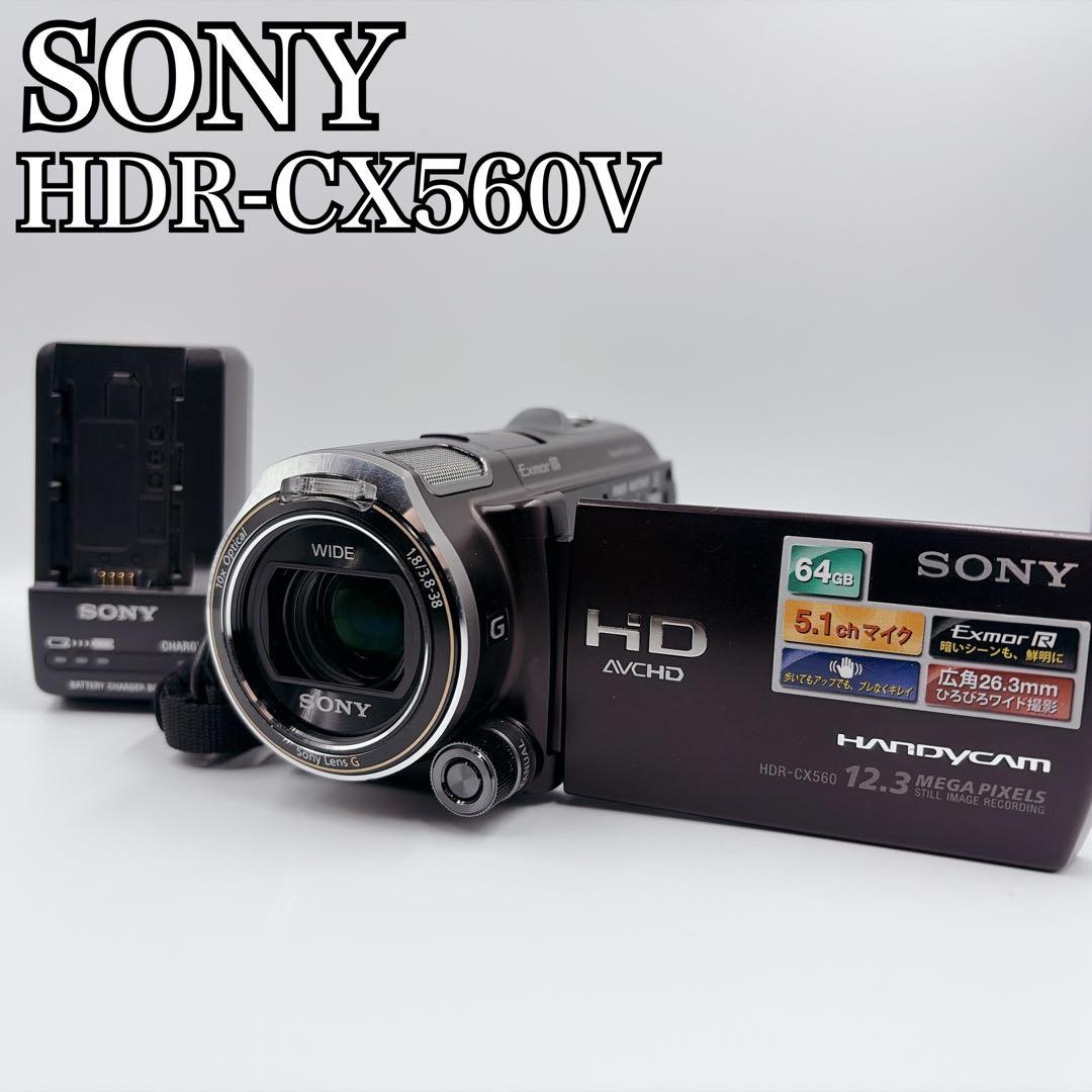 SONY ソニー HDR-CX560V ムービー ビデオカメラ