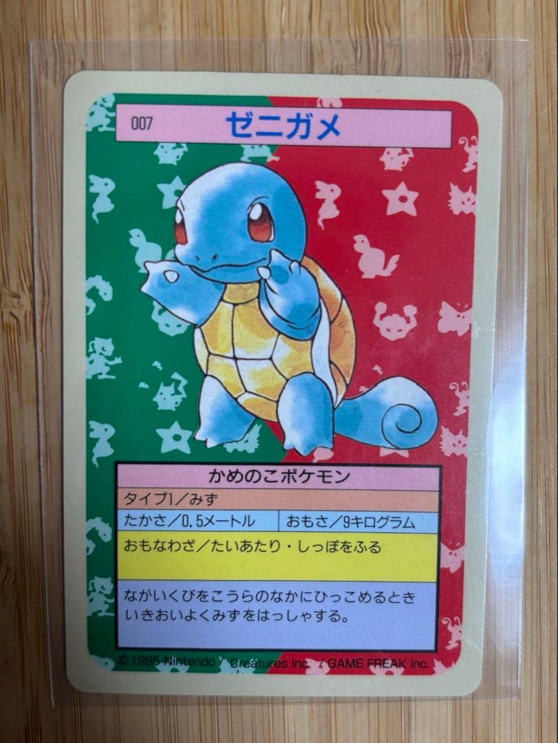 トップサン ゼニガメ 裏青